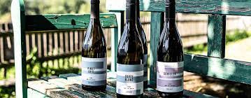 VON SALIS WEINE, CH - MAIENFELD