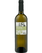 Riesling Martigny 2023 - GrapeFactory GmbH